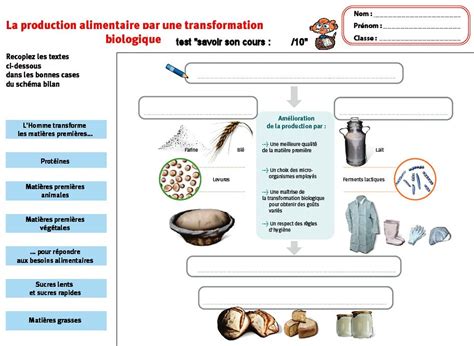 Besoins Alimentaires évaluation Svt 6ème Alimentation Humaine Pdf 2